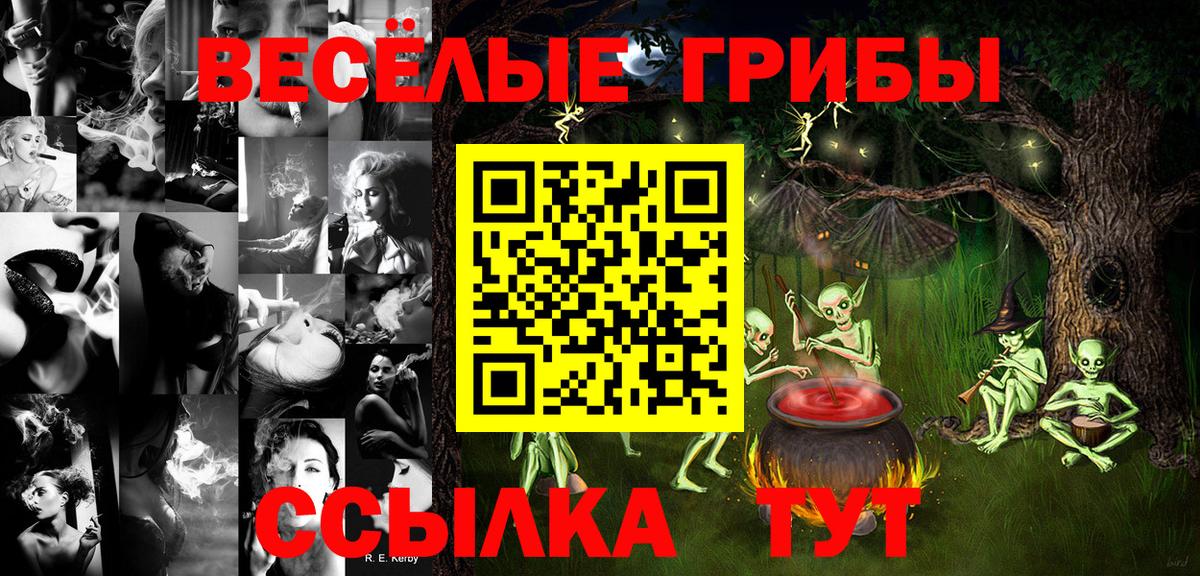 Электросталь  Галлюциногенные грибы прущие грибы  Вход с VPN 