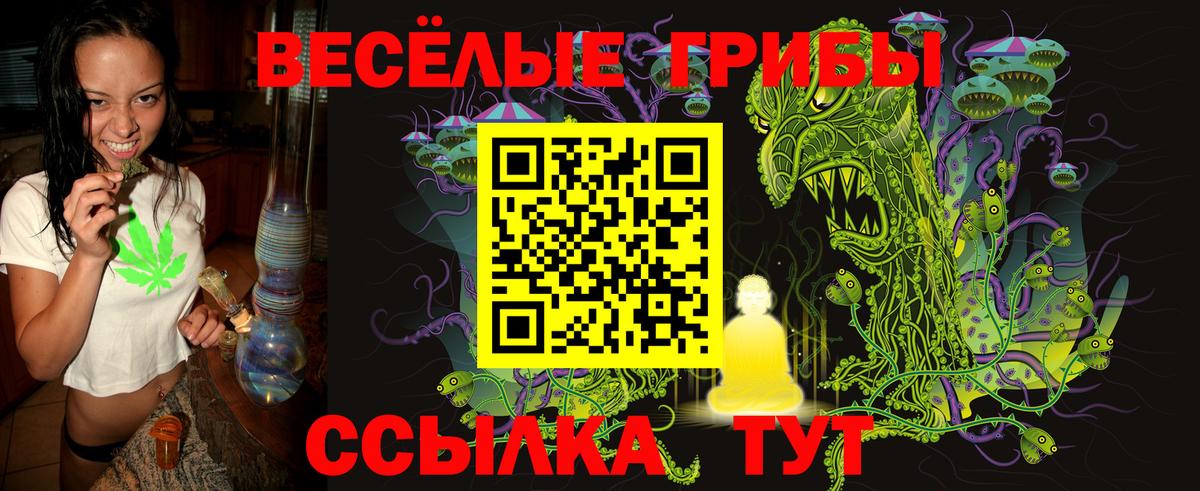 Галлюциногенные грибы мицелий Электросталь